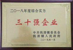 公司被錢清鎮黨委、鎮政府評為“2018年錢清鎮綜合實力三十強企業”
